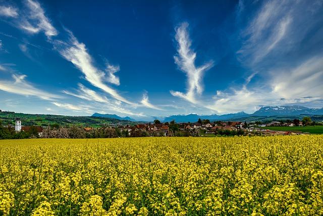 scenery (NXPowerLite)